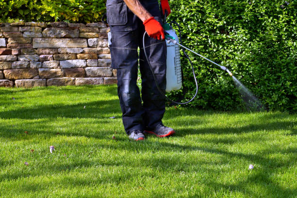 Best Pest Prevention Services  in Auburn, NY